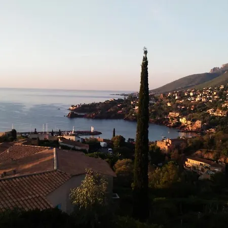 Studio 2 Personnes Superbe Vue Mer Et Esterel 79028 Apartamento